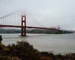golden-gate View of the Golden Gate Bridge from Presidio, San Francisco, CA