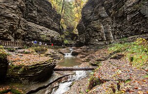 watkinsglensp Watkins Glen State Park, is a NY State Park with many waterfalls, located in the Finger Lakes region in up state New York