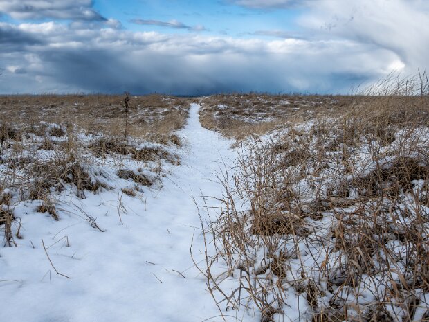 Winter