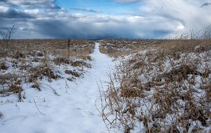 foot-path Snow covered foot path leading to one of the Northern beaches of Long Island