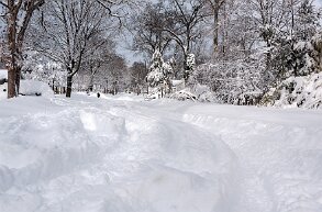 snow High snow accumulation during a Long Island winter storm